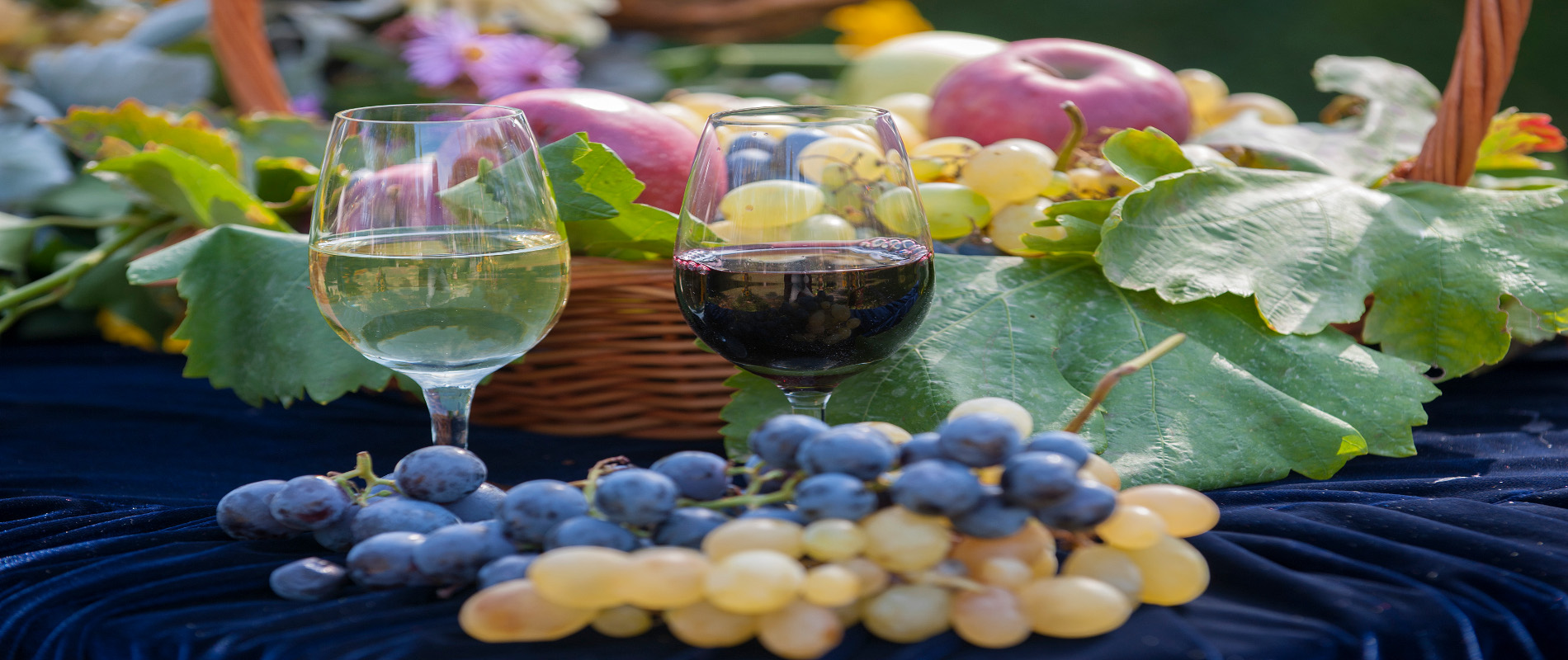 Flavors and scents of Oplenac WINE ROUTE