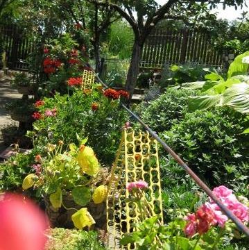 Отворена дворишта 2015