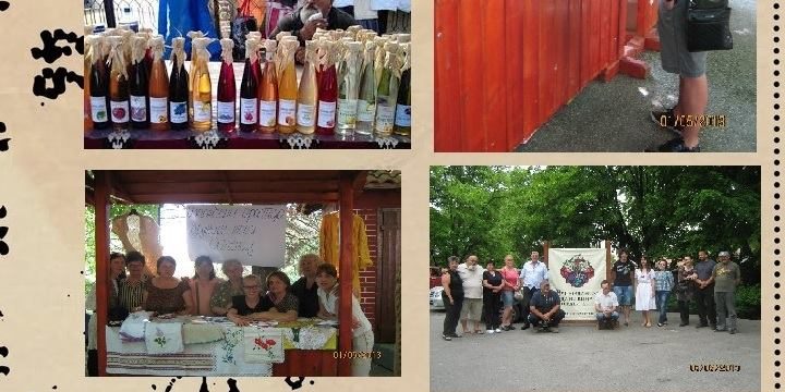 Први Фестивал „Домаће-природно“