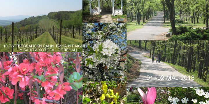 Ђурђевдански дани вина и ракије у башти хотела “Опленац“