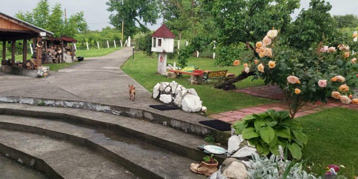 Отворена дворишта 2021